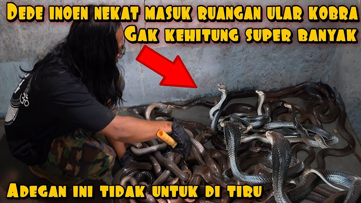 DEDE INOEN MASUK RUANGAN YANG DI HUNI RATUSAN ULAR KOBRA HITAM