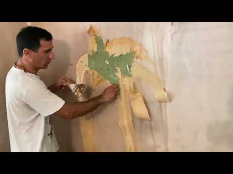 როგორ ავაძროთ ძველი შპალერი | How to remove Old Wallpaper