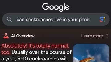 Dumb google ai responses, but it