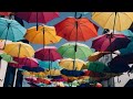 Agueda portugal umbrella streat       natures seeker