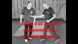Systema with Mark J: Training to See Attacks, A Progression