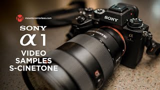 Sony Alpha 1 Video Test Using S-Cinetone Sony A1 Footage