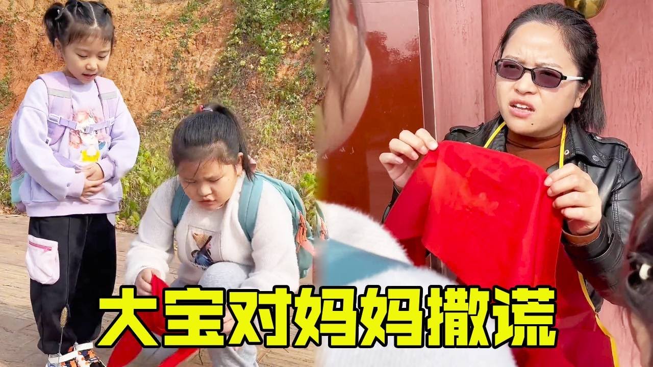 大宝为了新的文具盒，竟然对妈妈撒谎，所以姐妹俩这样做对吗？【大宝二宝】