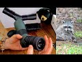 Beginning of video
