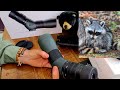End of video