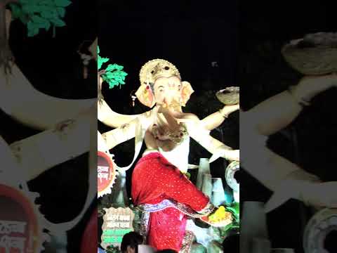 Marol Cha Raja🌺❤️ #ganpatibappamorya #mumbaicheganpati #ganeshutsav #viral