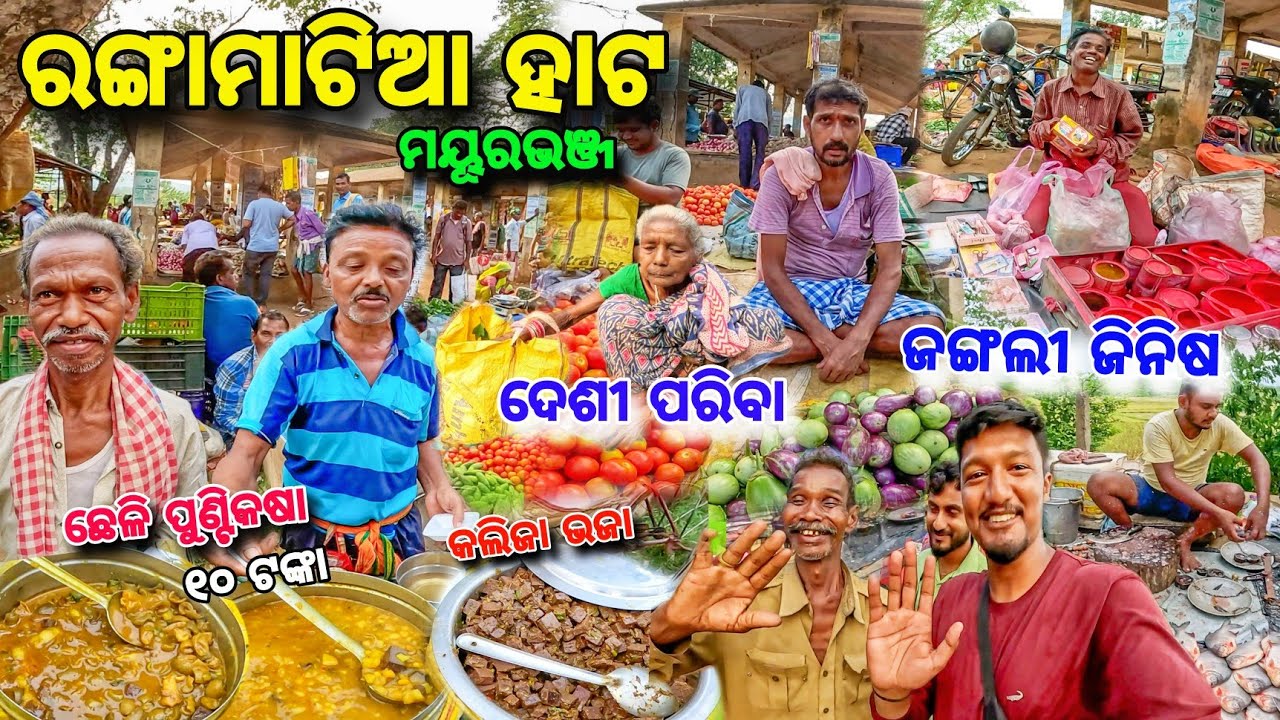 ଲୁଲୁଙ୍ଗ ପାଖ ଦେଶୀ ହାଟ😱 Rangamatia Hata 🔥ଛେଳି ପୁଣ୍ଟି କୁ ଗେଣ୍ଡା🐌 ଶାମୁକା ବିକ୍ରି / Tribal Mayurbhanj Hata