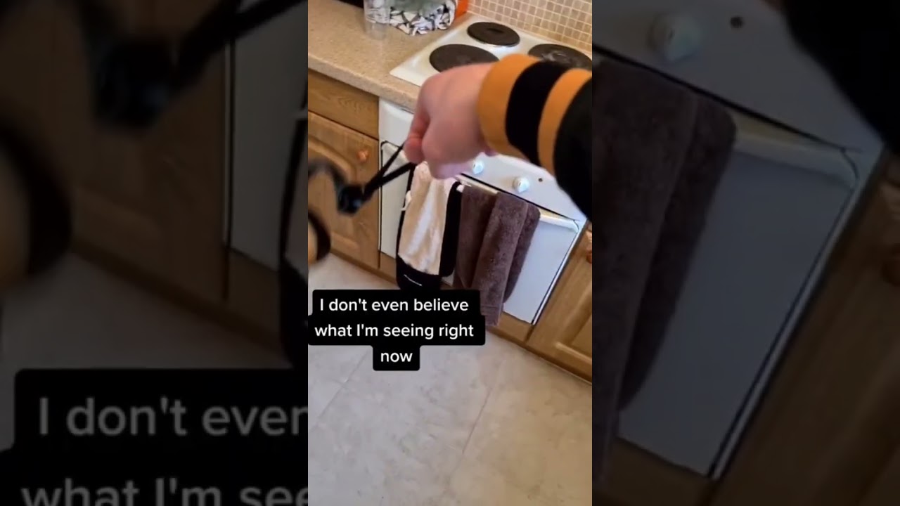 Unspillable, unstoppable - No Spill Mug Mate mug carrier ☕️✨ 