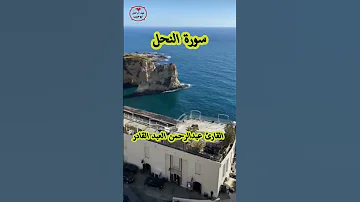 وضرب الله مثلا رجلين احدهما ابكم للقارئ الشيخ عبد الرحمن العبد القادر 