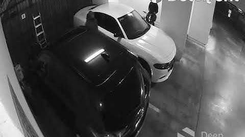 STOPPED by Deep Sentinel #31: AI-Powered Cameras Preventing Crime