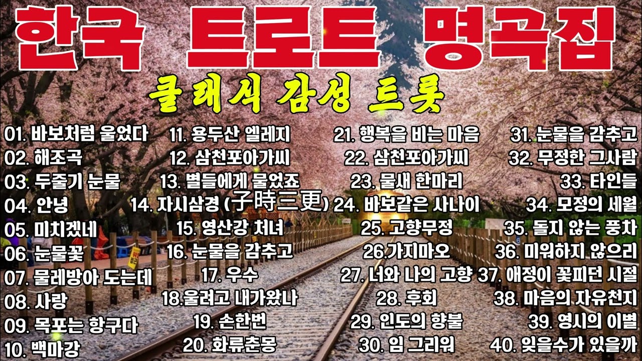 추억을 깨우는 한국 트롯 명곡 │ 시간이 지나도 잊히지 않는 노래들 💔 (연속재생) ||  · 이난영 · 이민숙 · 홍진영**