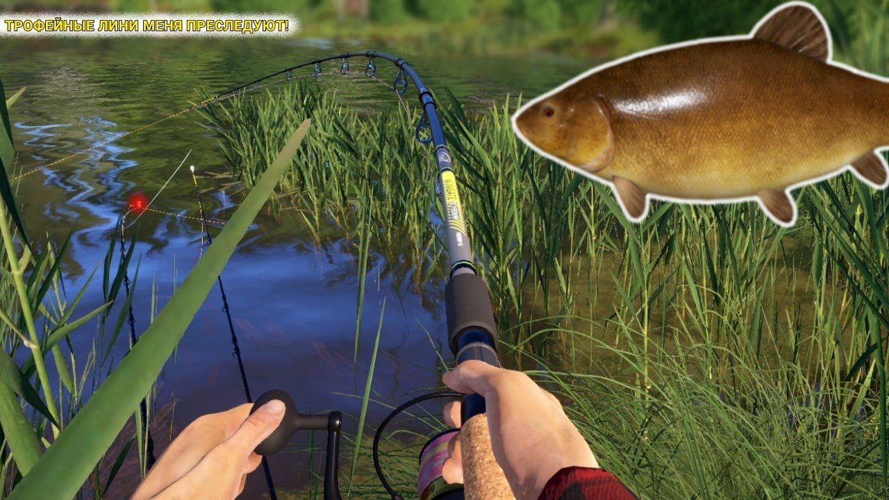 ТРОФЕЙНЫЕ ЛИНИ МЕНЯ ПРЕСЛЕДУЮТ! РАЗДАЧА ДАВНО ЗАКОНЧИЛАСЬ А ОНИ ЕЩЕ КЛЮЮТ! 