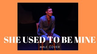 She Used To Be Mine - Sara Bareilles/Waitress Male cover Christof Chapsis
