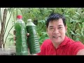 ORGANIC FERTILIZER, PESTICIDE AT FUNGICIDE MULA SA MADRE DE CACAO? HERE'S HOW (with ENG subs)