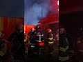 Tragedia en Curicó: más de 4.000 cerdos mueren tras grave incendio en criadero Soler