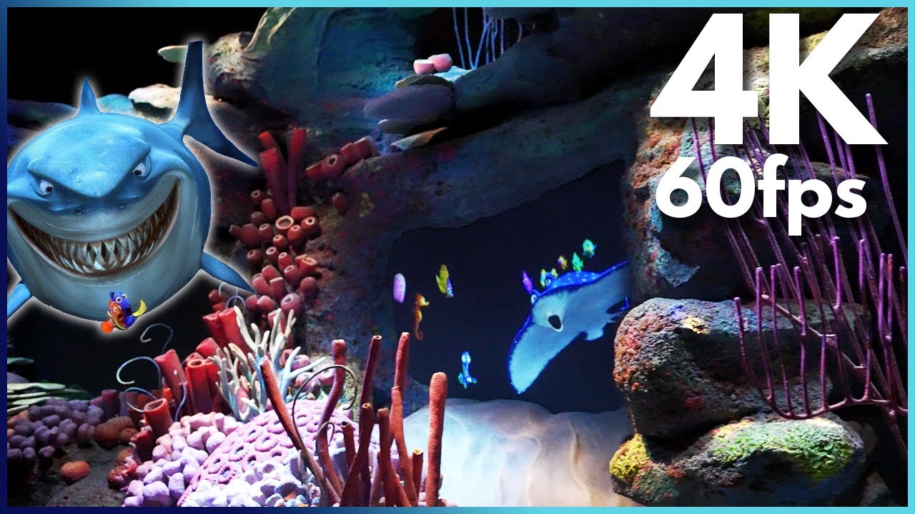 NEW The Seas with Nemo & Friends Epcot - ON RIDE Through - Vibrant 4K ...