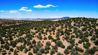 Residential for sale in Seligman, AZ - 30117010l Unnamed Rd (20 Acres)