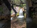 Usted es MILLONARIO aquí #exploracion #zacatecas