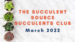 The Succulent Source Monthly Club March 2022