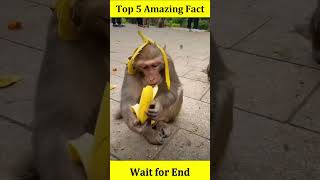 Top 5 Amazing Fact