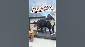 I asked chatGPT to make my cat a human #part2 #hugyourcatday #caturday #nationalcatday #merrycatmas