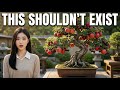 These Fruit Bonsai Shouldn’t Exist… But They Do