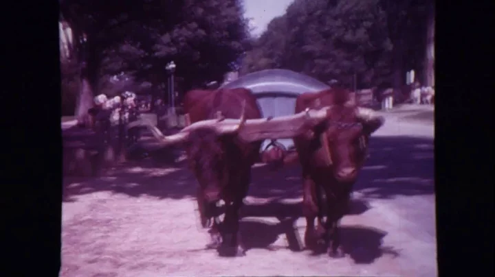 Reel 24 Nags Head and Williamsburg 1974 with Elino...