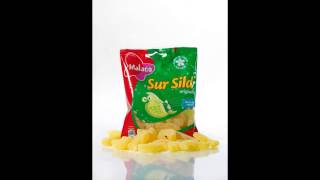 The Story Of A Yellow Fish, Blind Sebra And Shellyfish