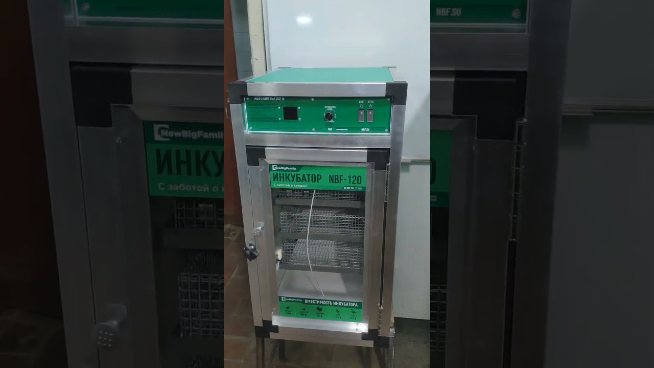 Как правильно установить инкубатор NBF 