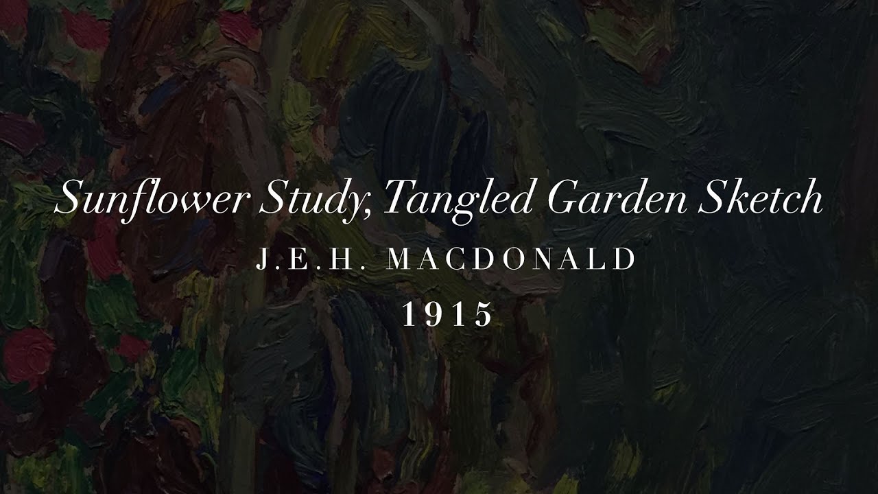 Sunflower Study, Tangled Garden Sketch - J.E.H. MacDonald - 1915