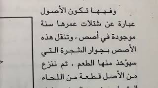 طريقة تطعيم اللوز باللصق أو الإدناء