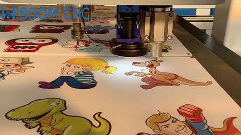 CNC Oscillating Knife Cutting Machine with CCD camera