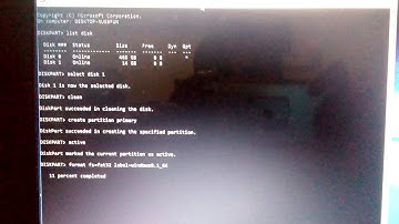 Format Flashdisk 14 GB [ OTG ]