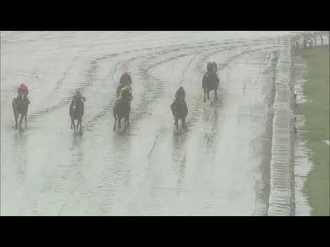 video thumbnail for MONMOUTH PARK 5-29-21 RACE 7