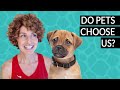 A Dog's Purpose: Why Your Pet Chose You | Animal Communicator Danielle MacKinnon