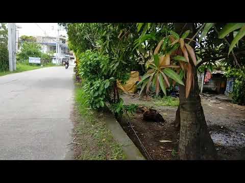 Video: Paglangoy Sa Pilapil Ng Lungsod