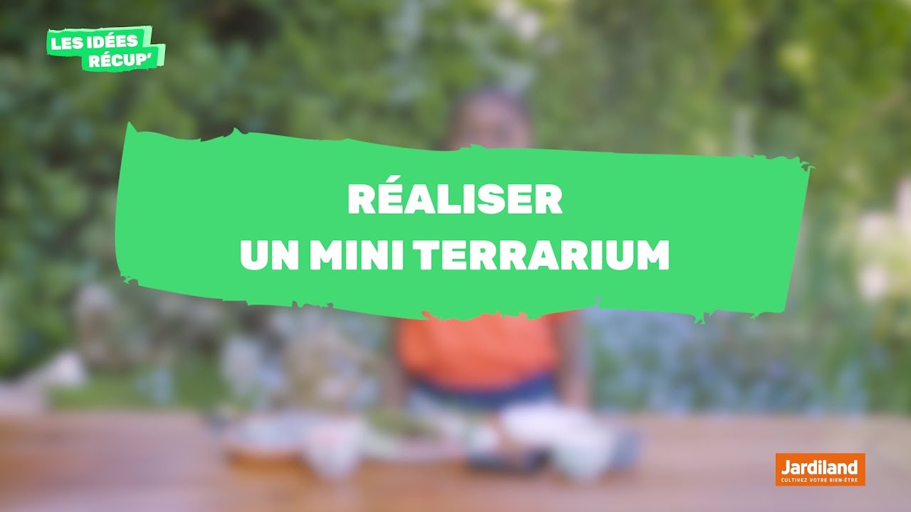 Meilleur terrarium : sélection et conseils pour bien le choisir et