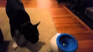 Ifetch training