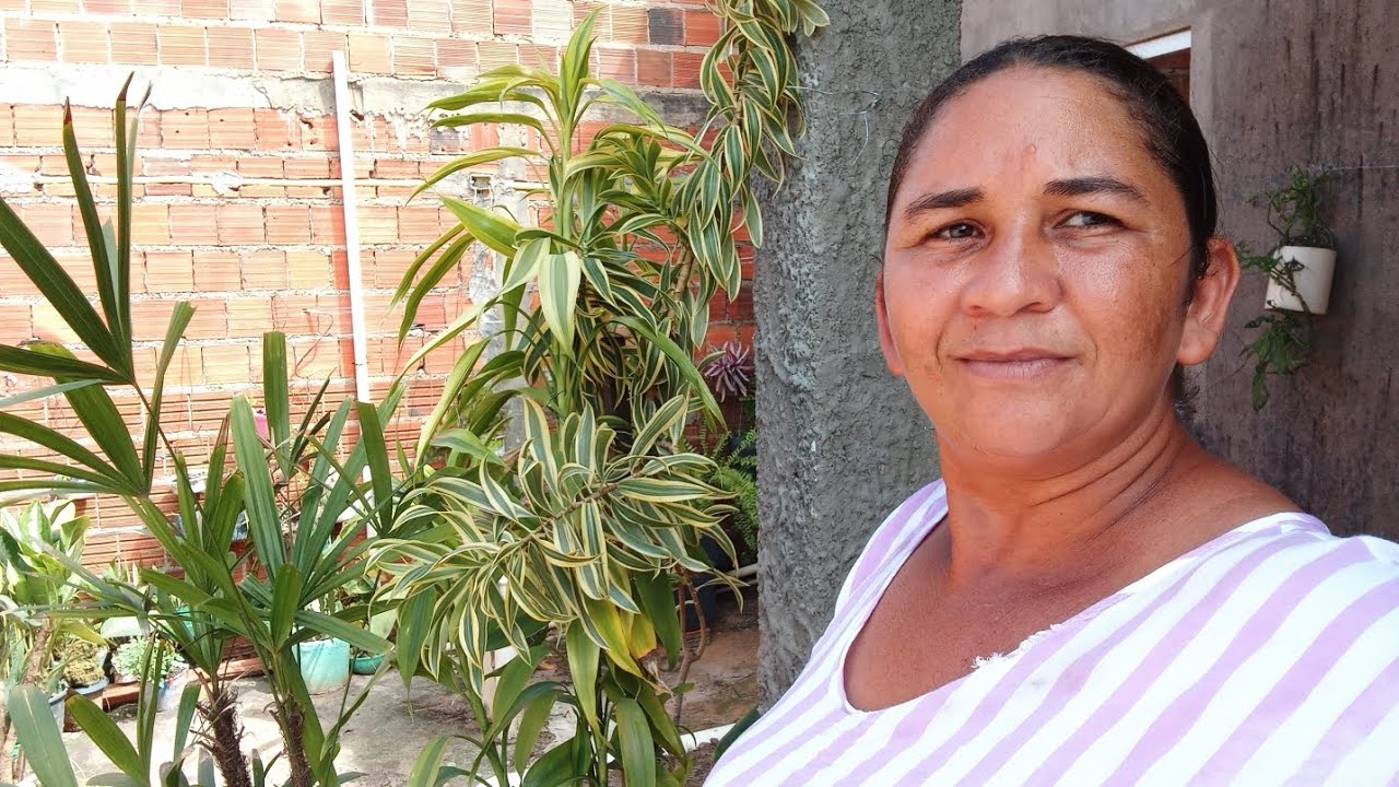 Mostrando ais planta  minha  e fui  lá na casa da minha mãe  