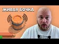 РЕАКЦИЯ ШАМПАНОВА НА СМЕШНЫЕ МОМЕНТЫ BRAWL STARS | 6 СЕРИЯ