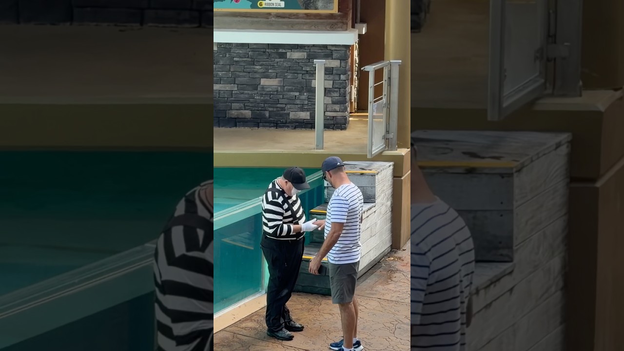 Clean? 😊 Tom the mime SeaWorld #seaworldmime #comedy #funny #fun #viral