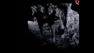 Lutricia McNeal - Fly Away