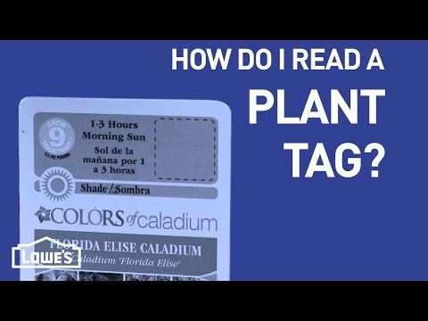 How Do I Read a Plant Tag? | DIY Basics