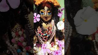 ghar mein Laddu Gopal khandit Ho jaaye to Kya Karen janiye#shortvideo#viral
