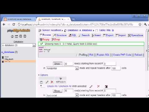 Beginner PHP Tutorial  126 - Creating a Database Hit Counter Part 4