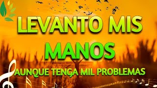 Mezcla De Alabanzas De Adoracion Mix - Musica Cristiana Sumergeme 'Cansado del Camino' & Mas Exitos by Kito musica 673 views 4 months ago 1 hour, 20 minutes