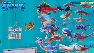 Hungry Shark Evolution - All Sharks Vs Small Shark Cage 