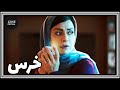 فیلم ایرانی کامل و بدون سانسور خرس 