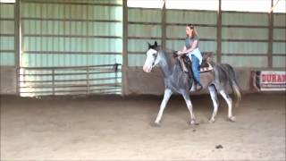 Mystique Learns To Gait