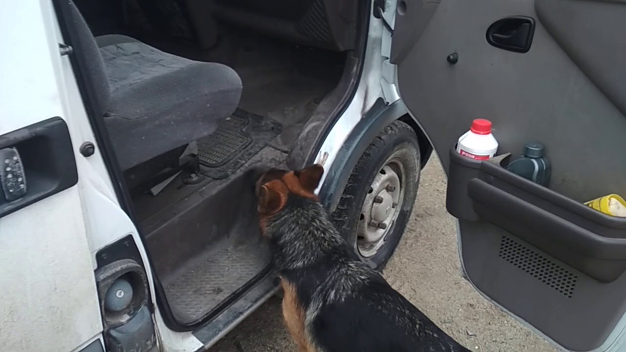 Крепче за баранку держись, шофер )))Так теорию вождения мы знаем, пока ...